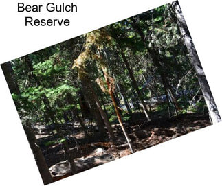 Bear Gulch Reserve