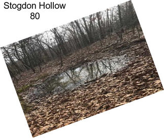 Stogdon Hollow 80