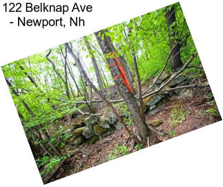 122 Belknap Ave - Newport, Nh