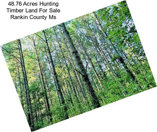 48.76 Acres Hunting Timber Land For Sale Rankin County Ms