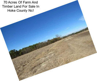 70 Acres Of Farm And Timber Land For Sale In Hoke County Nc!