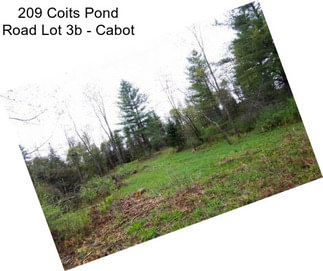 209 Coits Pond Road Lot 3b - Cabot