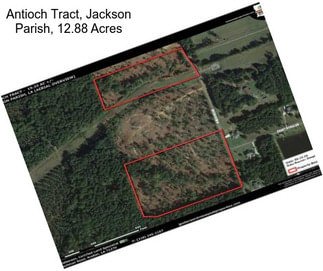 Antioch Tract, Jackson Parish, 12.88 Acres