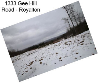 1333 Gee Hill Road - Royalton