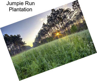 Jumpie Run Plantation