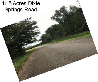 11.5 Acres Dixie Springs Road