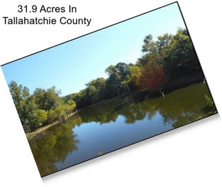 31.9 Acres In Tallahatchie County