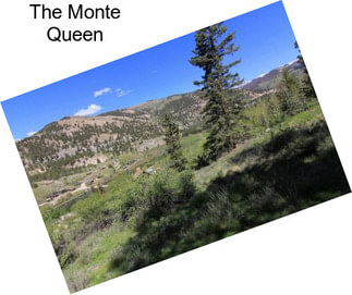 The Monte Queen