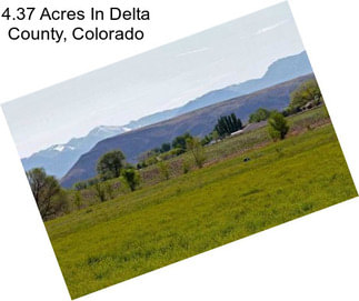 4.37 Acres In Delta County, Colorado