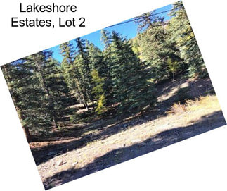 Lakeshore Estates, Lot 2