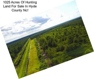 1025 Acres Of Hunting Land For Sale In Hyde County Nc!