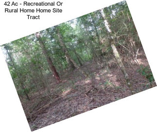 42 Ac - Recreational Or Rural Home Home Site Tract