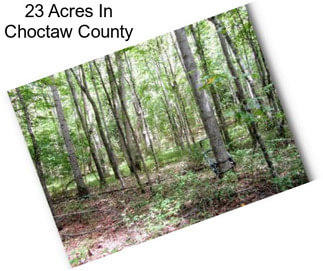 23 Acres In Choctaw County