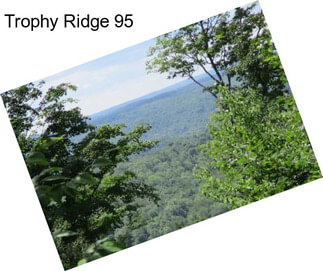 Trophy Ridge 95