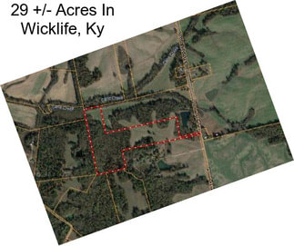 29 +/- Acres In Wicklife, Ky