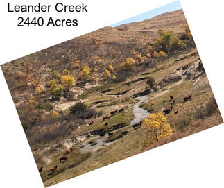 Leander Creek 2440 Acres