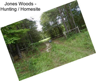 Jones Woods - Hunting / Homesite