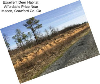 Excellent Deer Habitat, Affordable Price Near Macon, Crawford Co. Ga