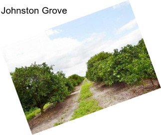 Johnston Grove