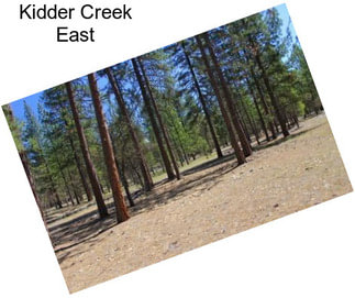 Kidder Creek East