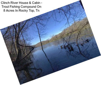 Clinch River House & Cabin - Trout Fishing Compound On 8 Acres In Rocky Top, Tn