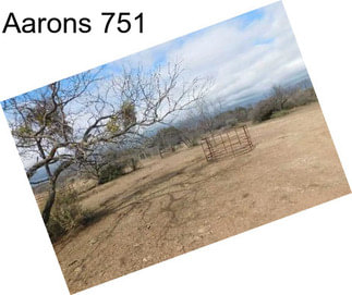 Aarons 751