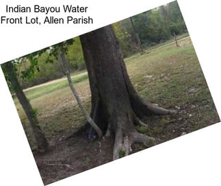 Indian Bayou Water Front Lot, Allen Parish