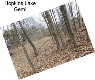 Hopkins Lake Gem!
