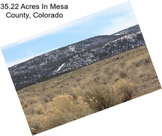 35.22 Acres In Mesa County, Colorado