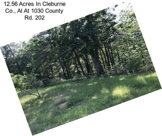 12.56 Acres In Cleburne Co., Al At 1030 County Rd. 202