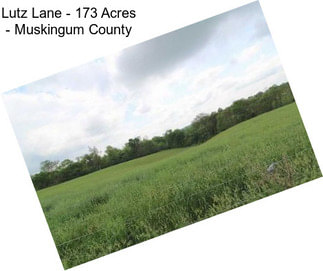 Lutz Lane - 173 Acres - Muskingum County