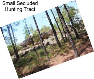 Small Secluded Hunting Tract