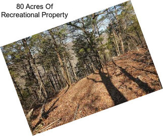 80 Acres Of Recreational Property
