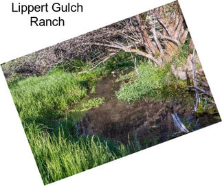 Lippert Gulch Ranch