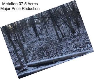 Metalton 37.5 Acres Major Price Reduction