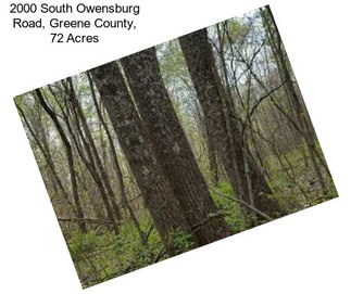 2000 South Owensburg Road, Greene County, 72 Acres