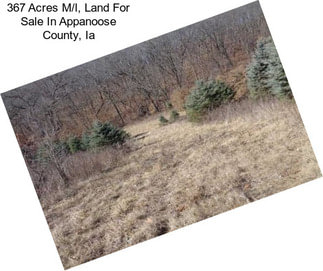 367 Acres M/l, Land For Sale In Appanoose County, Ia