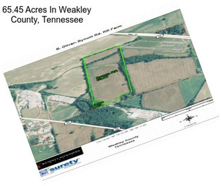 65.45 Acres In Weakley County, Tennessee