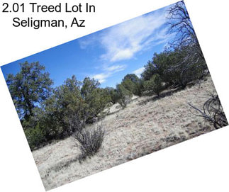 2.01 Treed Lot In Seligman, Az