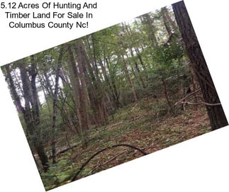5.12 Acres Of Hunting And Timber Land For Sale In Columbus County Nc!