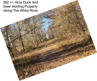 282 +/- Acre Duck And Deer Hunting Property Along The White River
