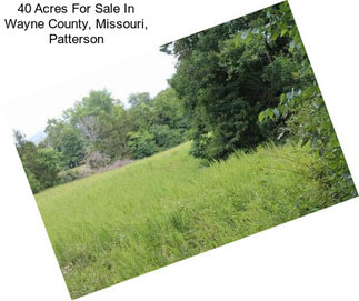 40 Acres For Sale In Wayne County, Missouri, Patterson