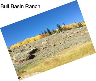 Bull Basin Ranch
