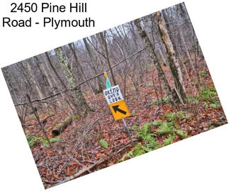 2450 Pine Hill Road - Plymouth