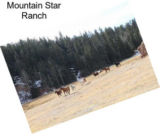 Mountain Star Ranch