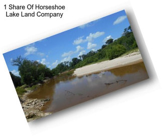 1 Share Of Horseshoe Lake Land Company