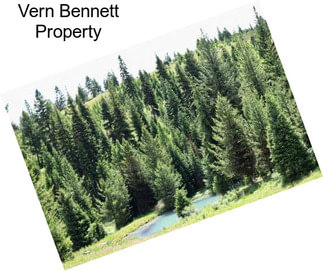 Vern Bennett Property