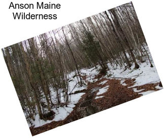 Anson Maine Wilderness