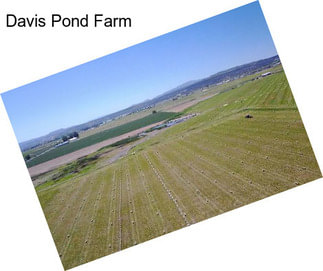 Davis Pond Farm