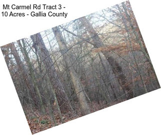 Mt Carmel Rd Tract 3 - 10 Acres - Gallia County